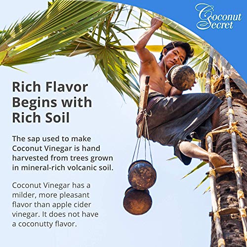 Coconut Secret Raw Coconut Vinegar - 12.7 fl oz - Rich in Vitamins & Amino Acids - Organic, Vegan, Non-GMO, Gluten-Free, Kosher - Keto, Paleo, Whole 30 - 24 Servings - Thumbnail 7