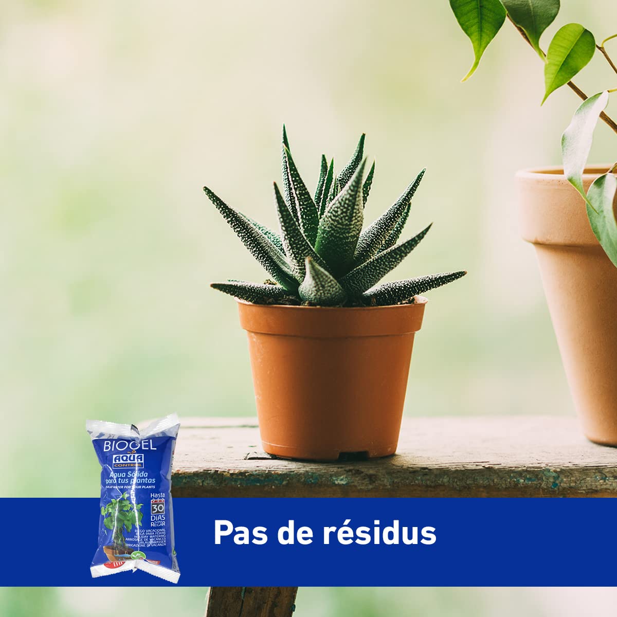 AQUA CONTROL Biogel C2140 Eau Solide pour Plantes, Arrosage Vacances 30 Jours, 400 ML