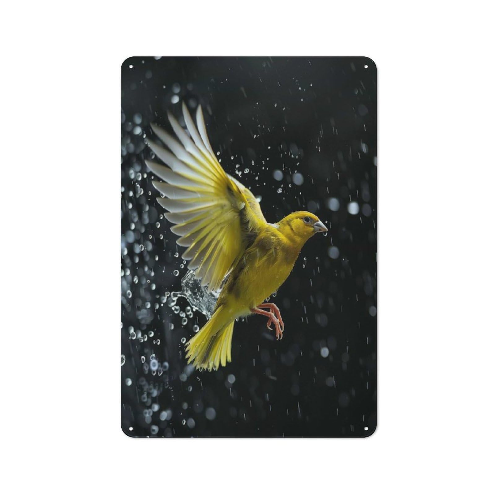 Junmoney Style-1 Vintage Metal Plaque 30X20cm Featuring Canaries Through Raindrops, Diner Style Decor For Restaurant, Kitchen, Counter Or Breakfast Nook