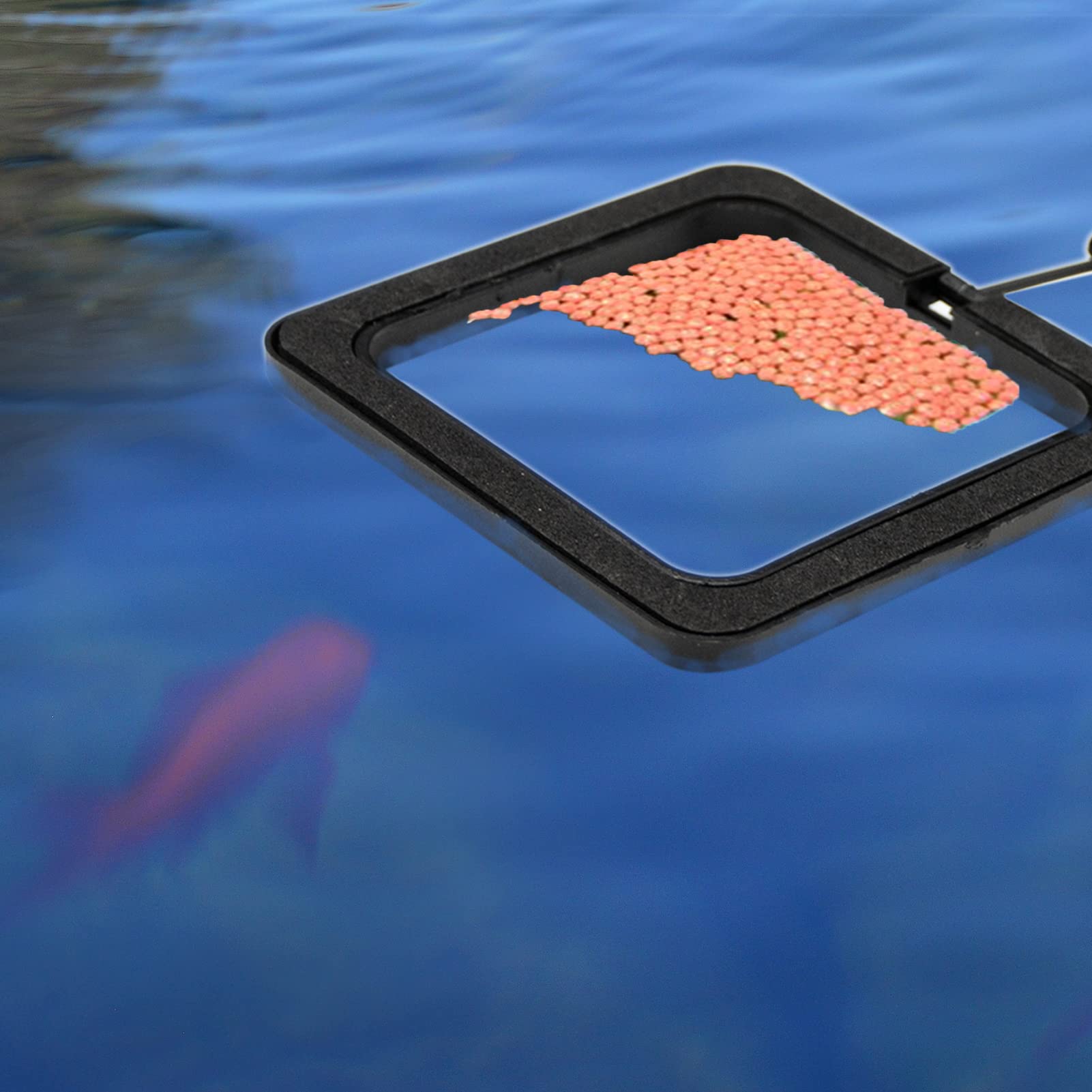 Mangiatoie quadrate nere per pesci d'acquario 10 cm con ventose