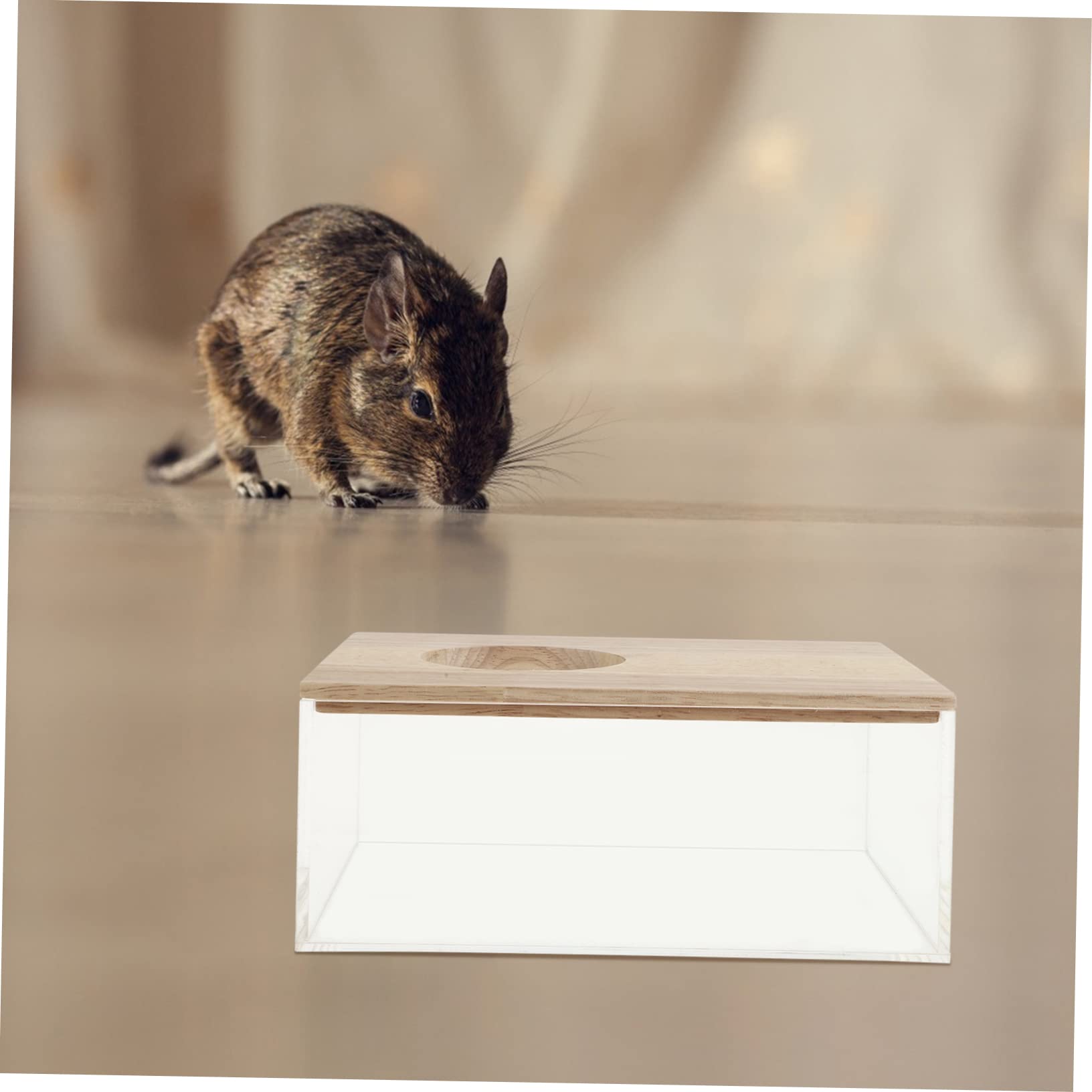 ERINGOGO Hamster Sandbad Transparente Sand-Bad Box Für Kleine Haustiere Für Chinchillas Und Hamster Leicht Zu Reinigen Lagern Vielseitig Einsetzbar