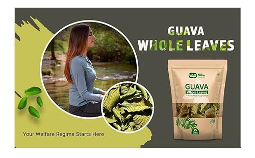 Miniatura 8 de Hojas secas enteras de guayaba 265 onzas 265oz té de hojas sueltas 100 hojas puras