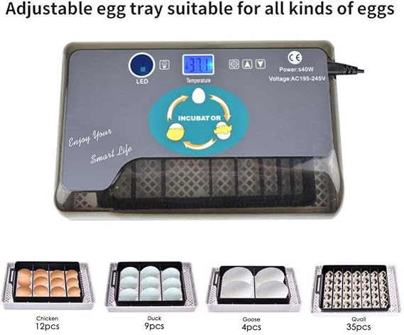 Automatic Incubator, Automatic Hatching Machine, Small Hatching Egg, Egg Hatcher, Incubator, For Birds Dedicated to Birds, Automatic Egg Hatcher, Automatic Temperature Control, Easy Operation, Low