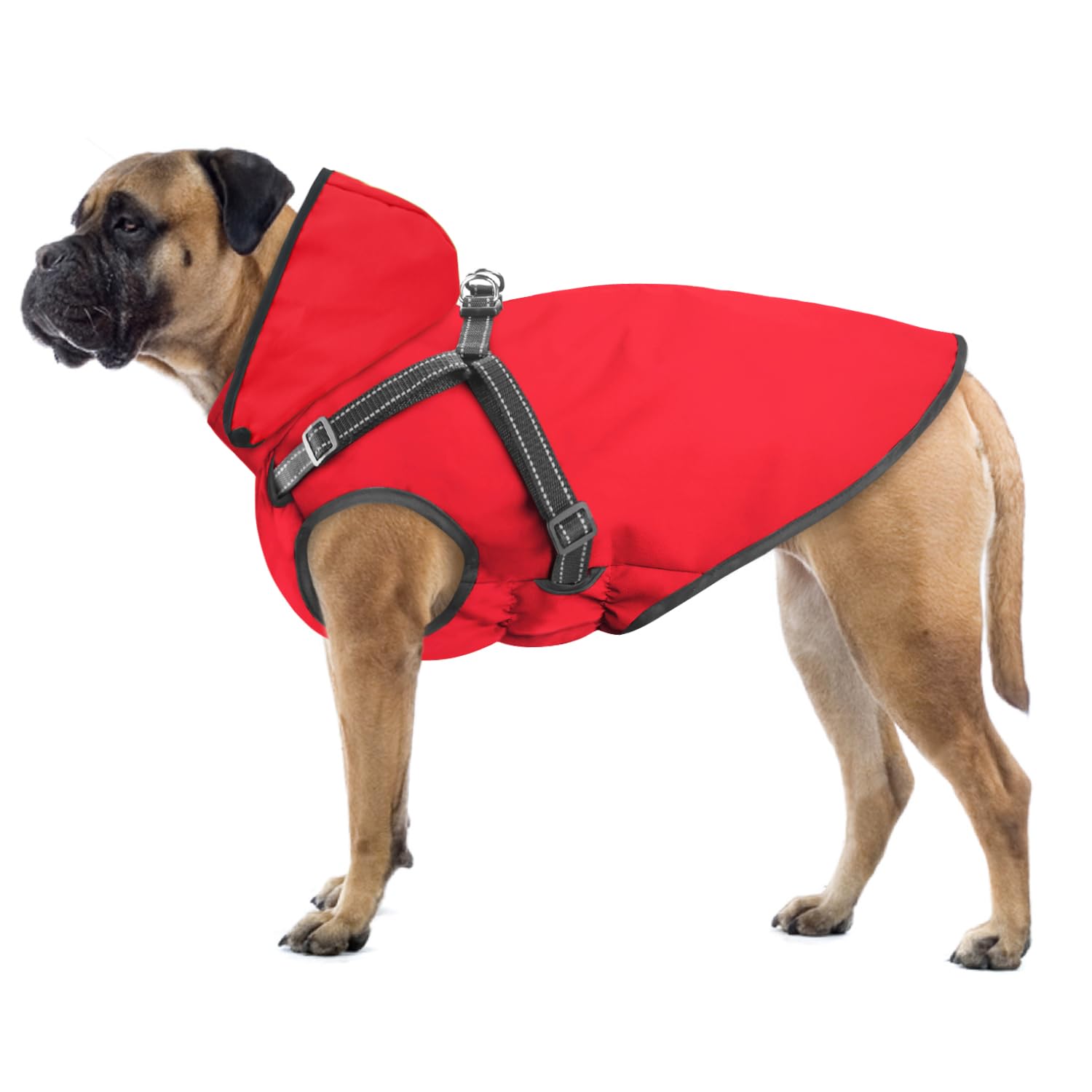 Chubasqueros para Perros, Impermeable con Capucha para Perros pequeños, medianos, Grandes y Cachorros