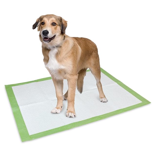 Foto 2 de 7 de Arquivet - Pads para Perros súper absorbentes - Empapadores biodegradables - Empapadores Desechables