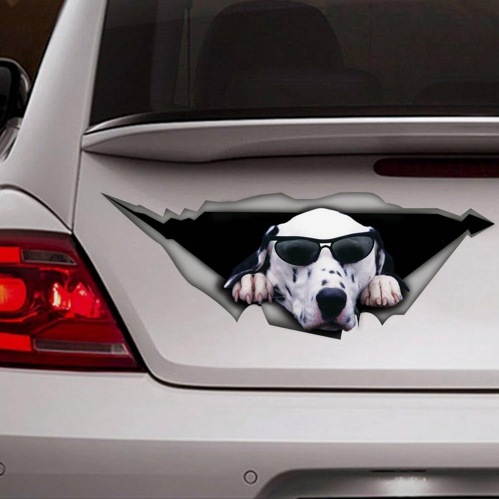 Madcolitote Dalmatian Car Stickers Pet 3D Window Decal Bumper Die Cut Vinyl Decal Funny Laptop Stickers Pet Gift,14 Inch
