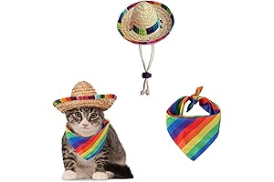 Mexican Cat Costume: Pet Sombrero and Rainbow Scarf