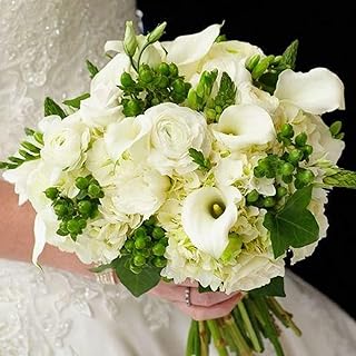 Bunches Direct White & Green Bridal Bouquet |White Mini Calla and Hydrangea Green Hypericum Berries Green Hypericum Berries | 11 Inch Wide