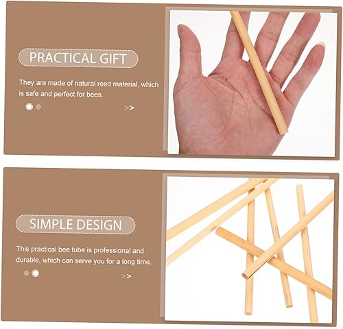 Miniatura 9 de BESPORTBLE 50 piezas de tubo de abeja Mason Bee Suministros Mason Bee Tubo nido de abejas tubos de anidación de abejas tubos de casa para