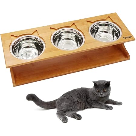 3 cat bowl