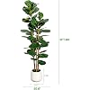 Product Photo 6