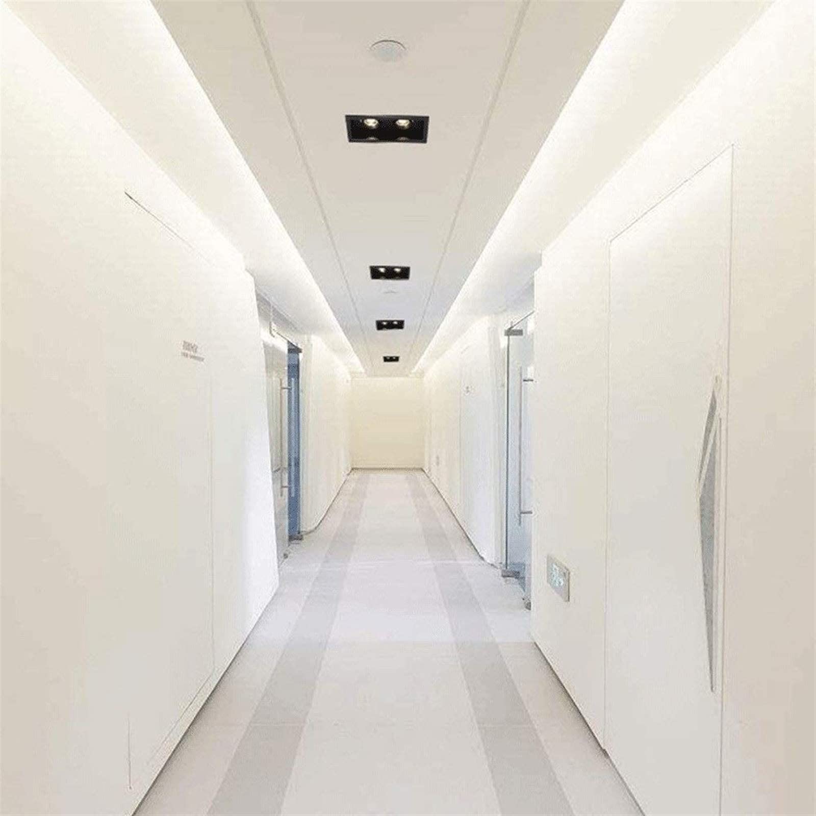 Downlight Doppio Faretto LED Incasso Incasso Doppio Occhio Downlight Soffitto Quadrato 30W Downlight(White Light (6000k))