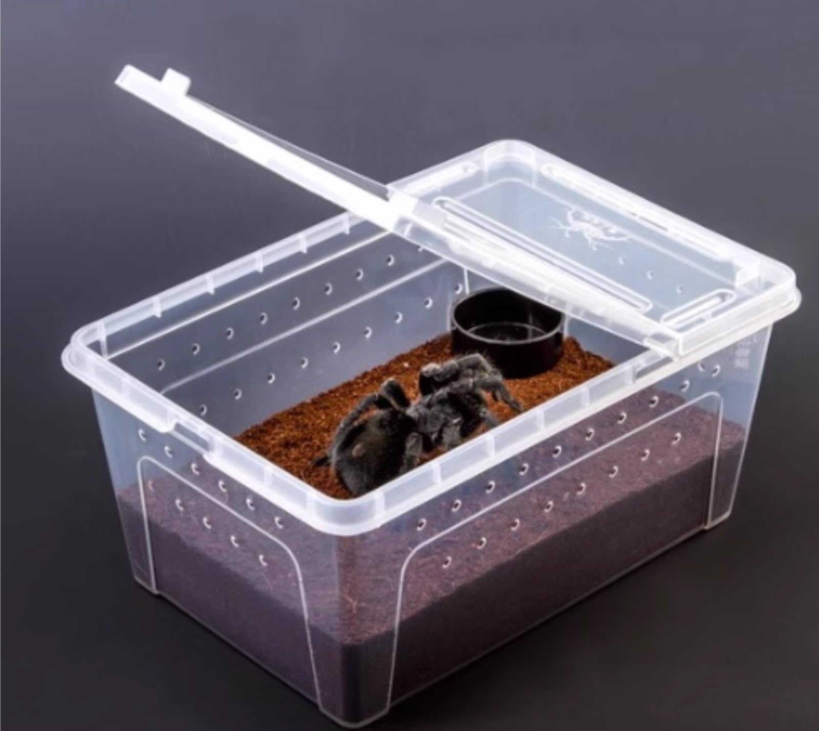 Pudełko Do Karmienia Skrzynka Hodowlana Dla Gadów, Klatka Siedliskowa, Skrzynka Dla Żółwi, Terrarium Dla Żab Terrarium Dla Gadów(25.8cm)