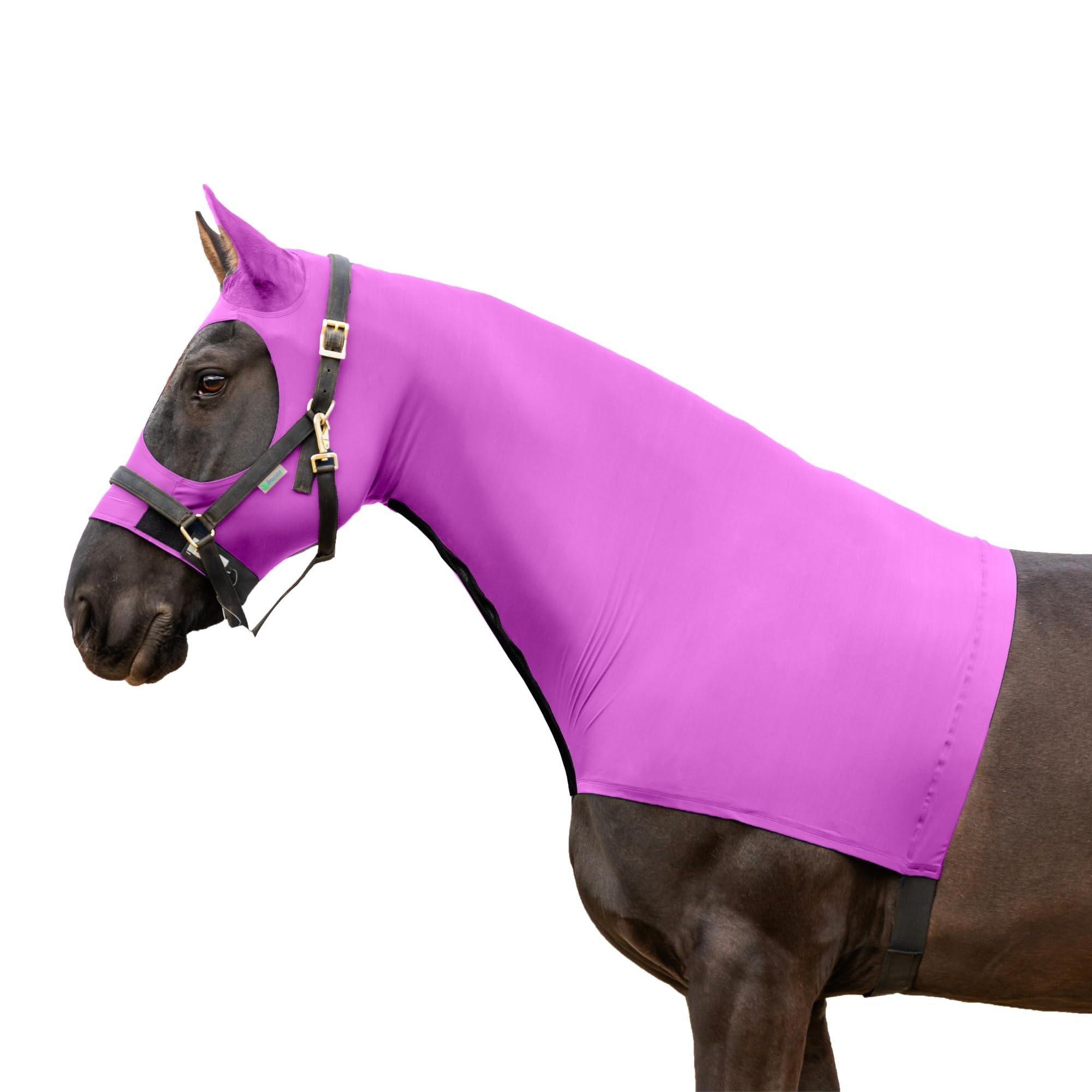 Resistance Horse Hood Slinky Lycra Zippered Mane Braid Shoulder Guard - Horse Sleazy Slickers Care Sheet