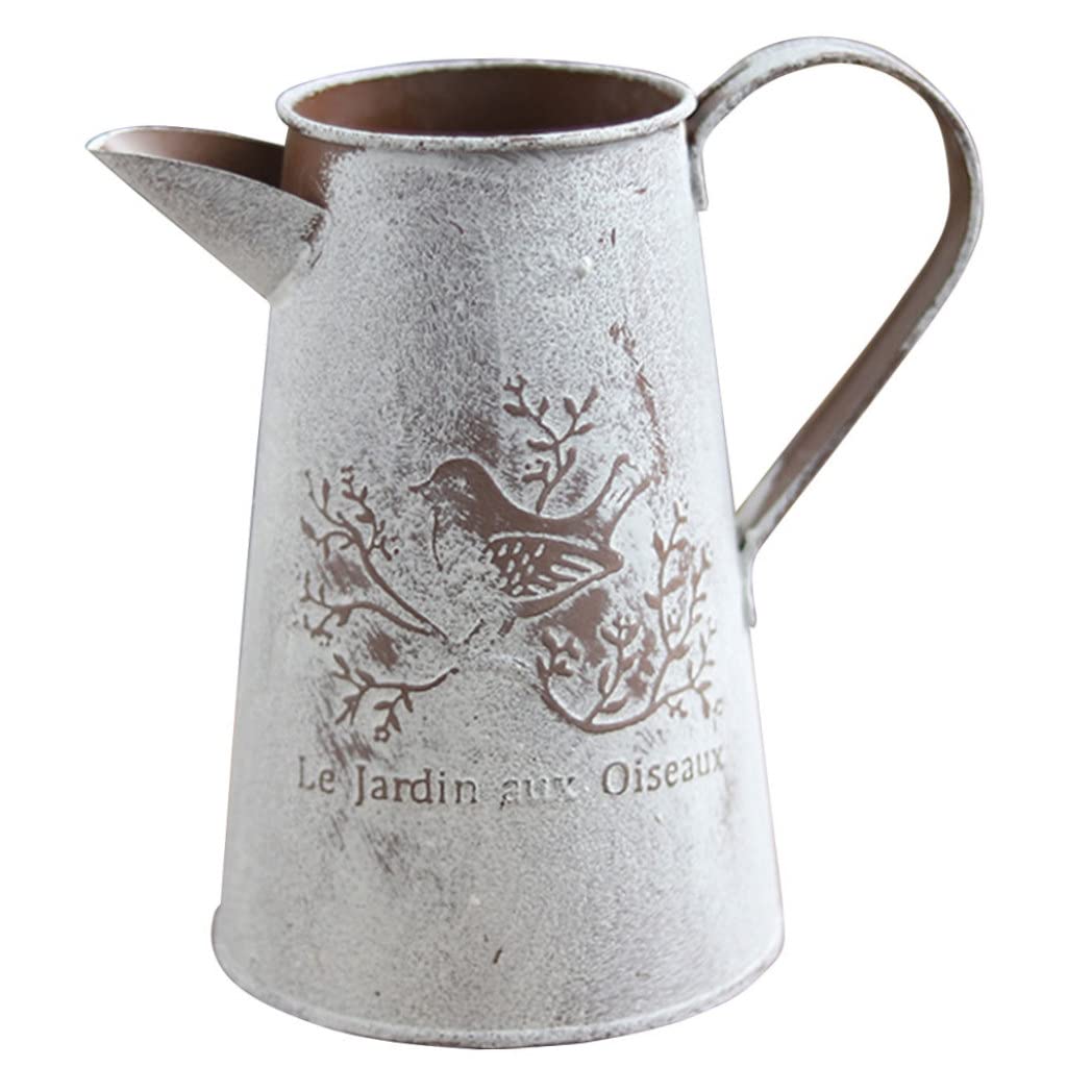 Hperu Flower Container Ornament Iron Vase Flower Container Holder Jug for Home Garden Decoration Style1