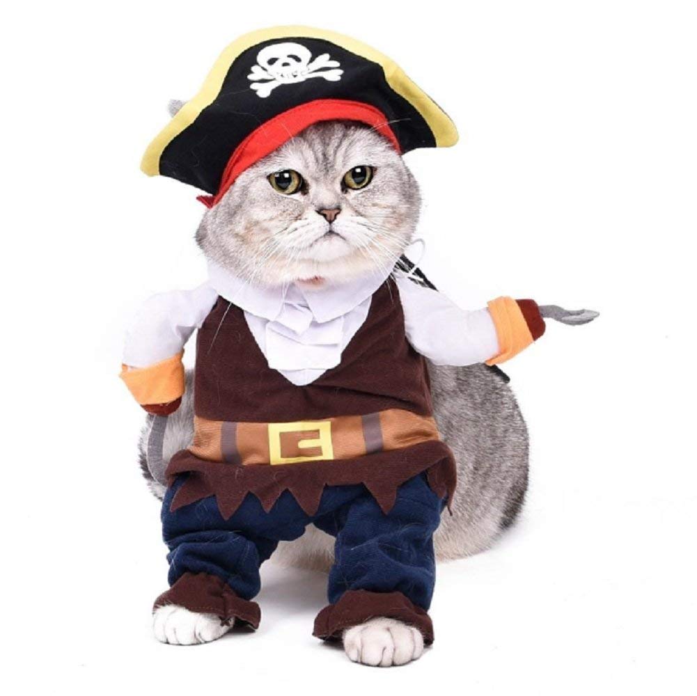 Déguisement pirate avec corset noir chat XL pour soirée déguisée halloween