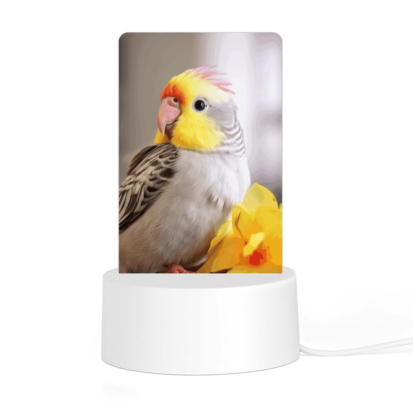 JTREHY - Acrylic Night Light with Base, Cute Cockatiel Printed Desk Night Light for Bedroom Bathroom Hallway Holiday Gift