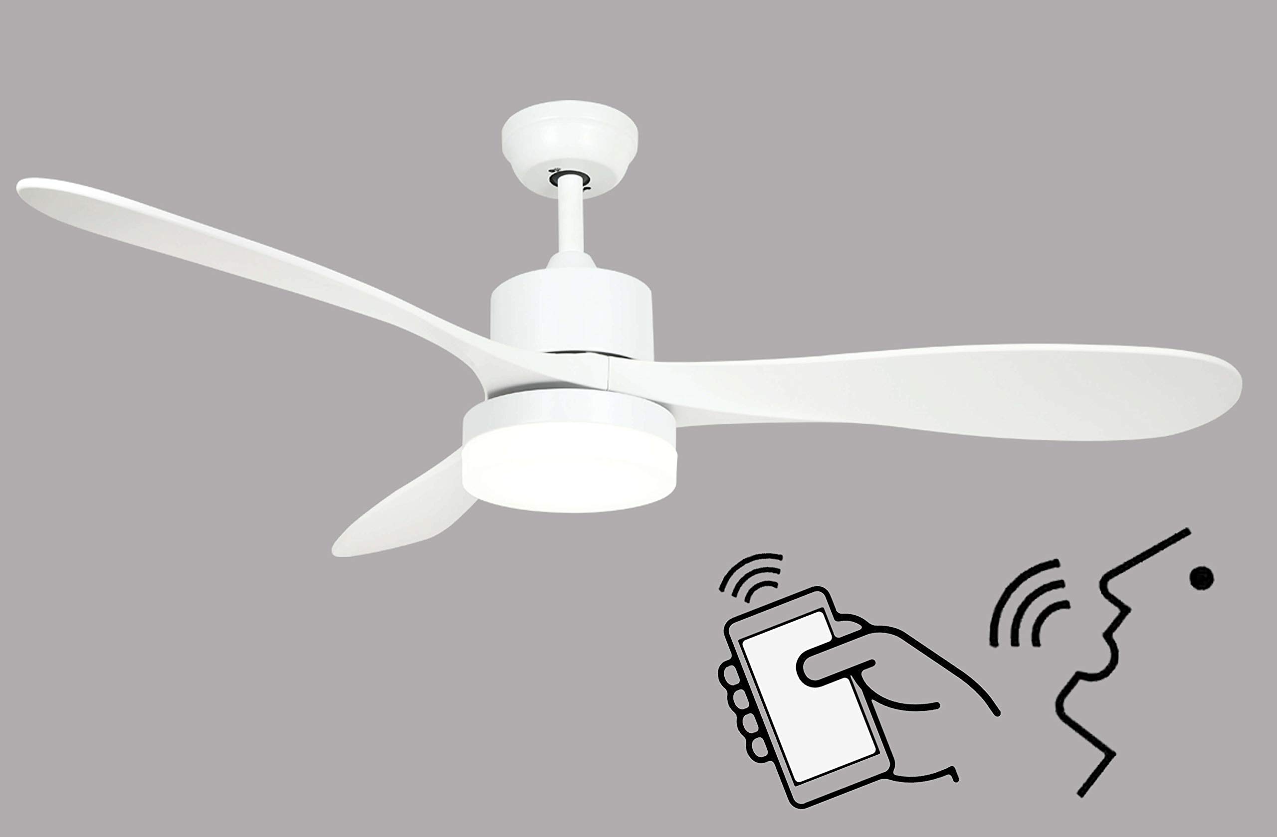 ceiling fan compatible with alexa