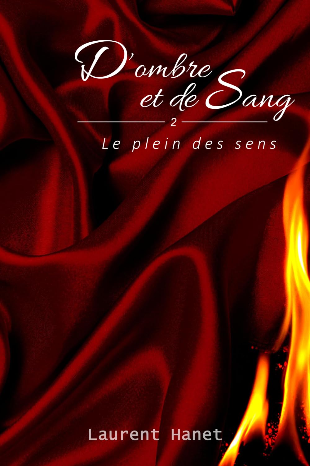 D'ombre et de Sang - 2 - Le plein des sens