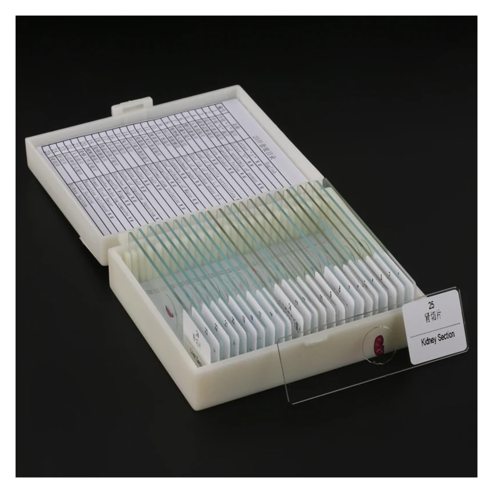 Diversi Tipi di vetrini for microscopio Biologico preparati for Lo Studio 'educazione alle scienze biologiche degli Studenti(50pcs)