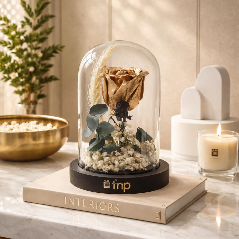 fnp Hand-Sprayed Golden Forever Rose in Glass Dome | Valentine’s Timeless Romantic Home Décor-image-21
