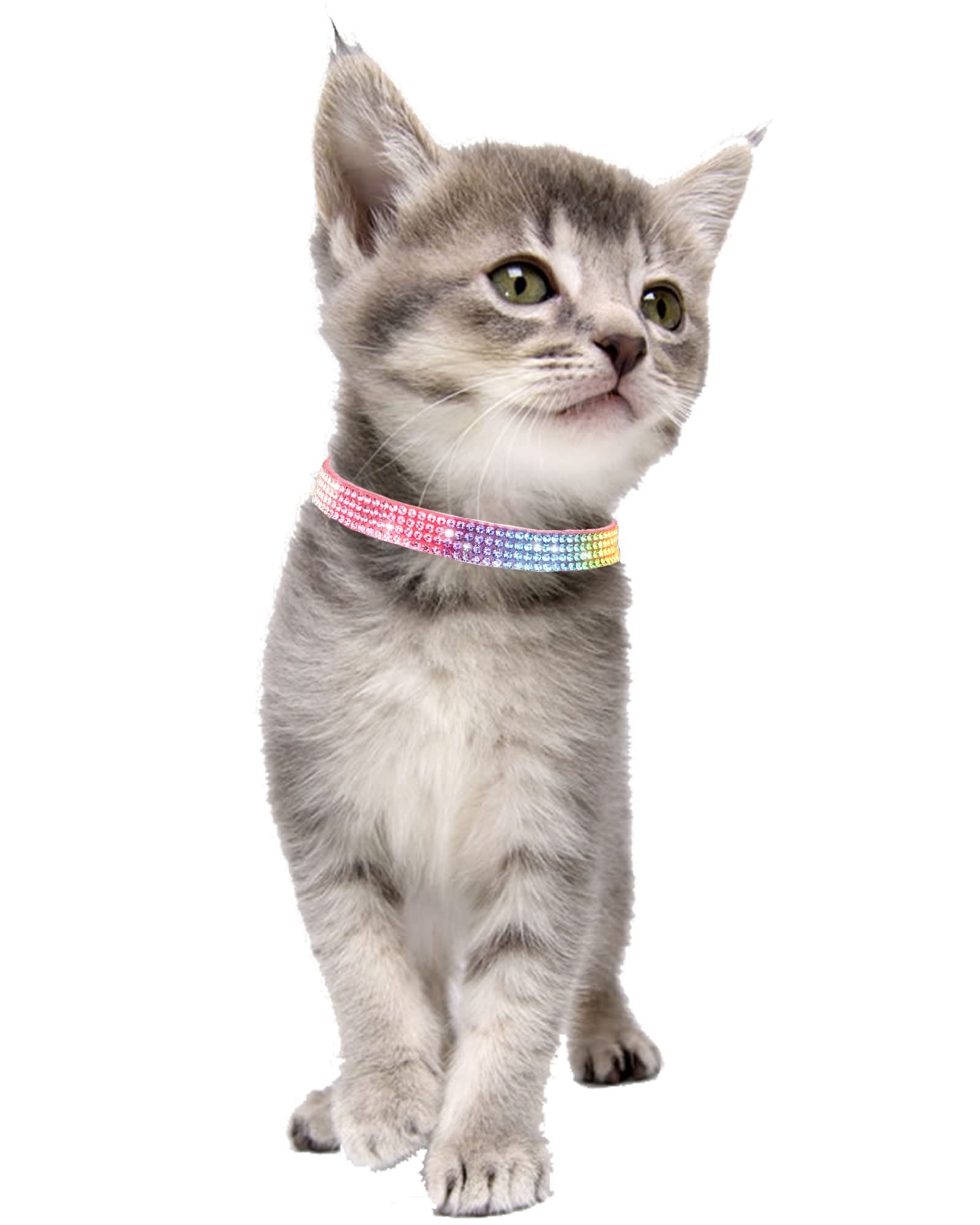 Solmoony No Pull Dog Harness Set - Small/Medium, Seychelles