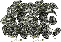 Vista 8 de Paquete de 2 plantas falsas de reptiles para terrario, accesorios de tanque de serpientes, decoración de hábitat, plantas colgantes artificiales