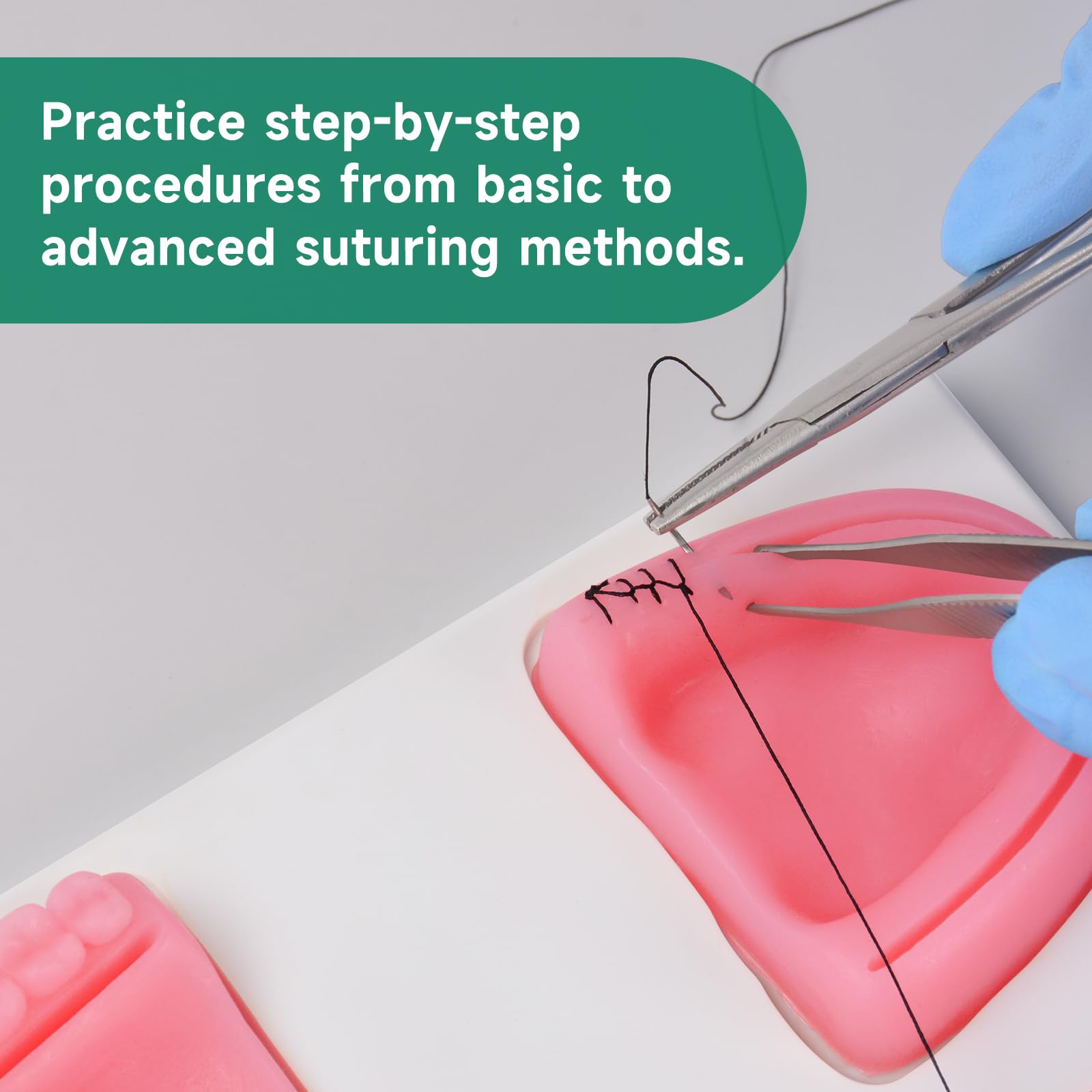 Amazon | Medarchitect歯科縫合練習キット,医学生、歯科医への縫合