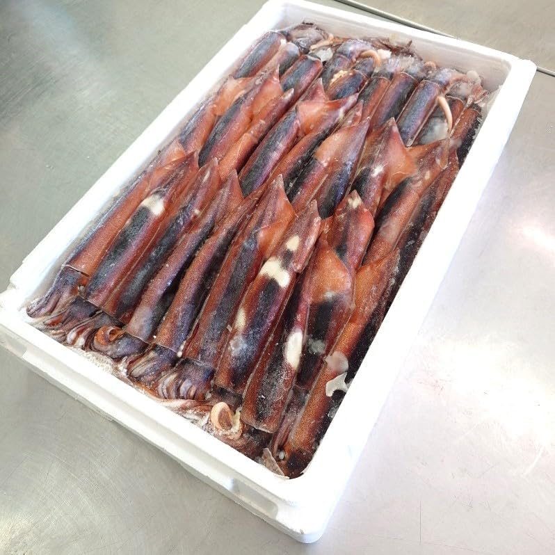 希少】新詳説日本史（井上光貞、笠原一男、児玉幸多著） 希少】新詳説