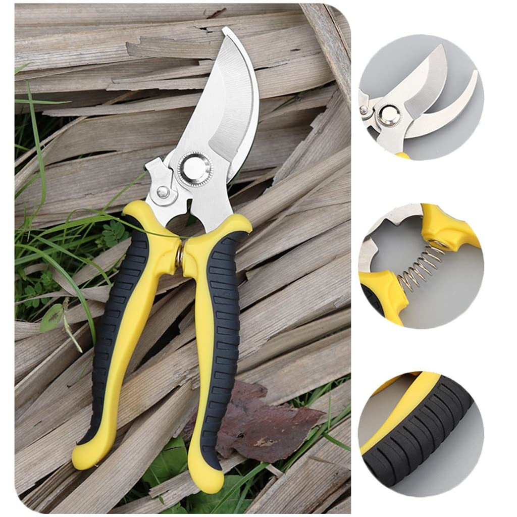 Forbici da potatura Professionali, Forbici da Giardino, cesoie per Alberi, cesoie da Giardinaggio, Forbici manuali