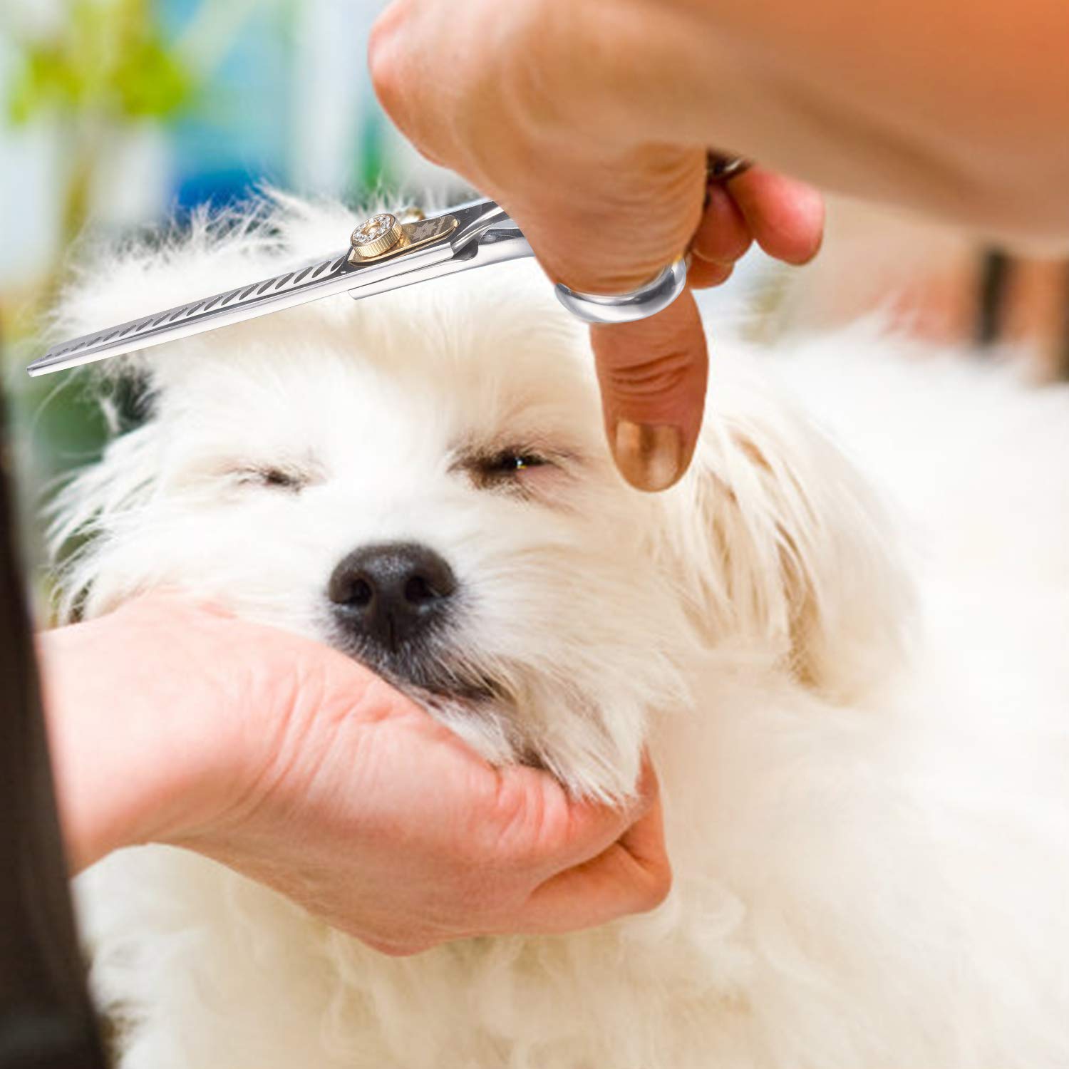 Dream Reach Ciseaux à Effiler Amincissants 7,0 Pouces pour Animaux - Toilettage Chiens et Chats - Acier Inoxydable Japonais 440C