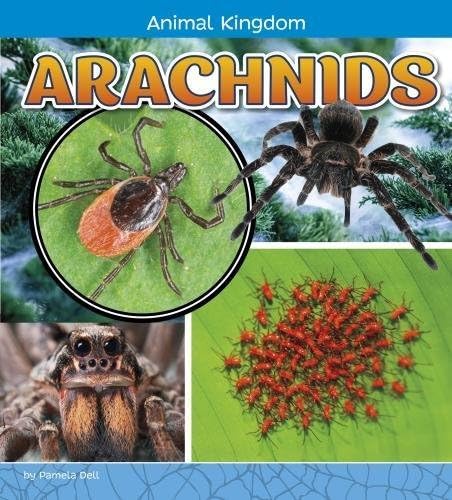 Arachnids (Animal Kingdom)