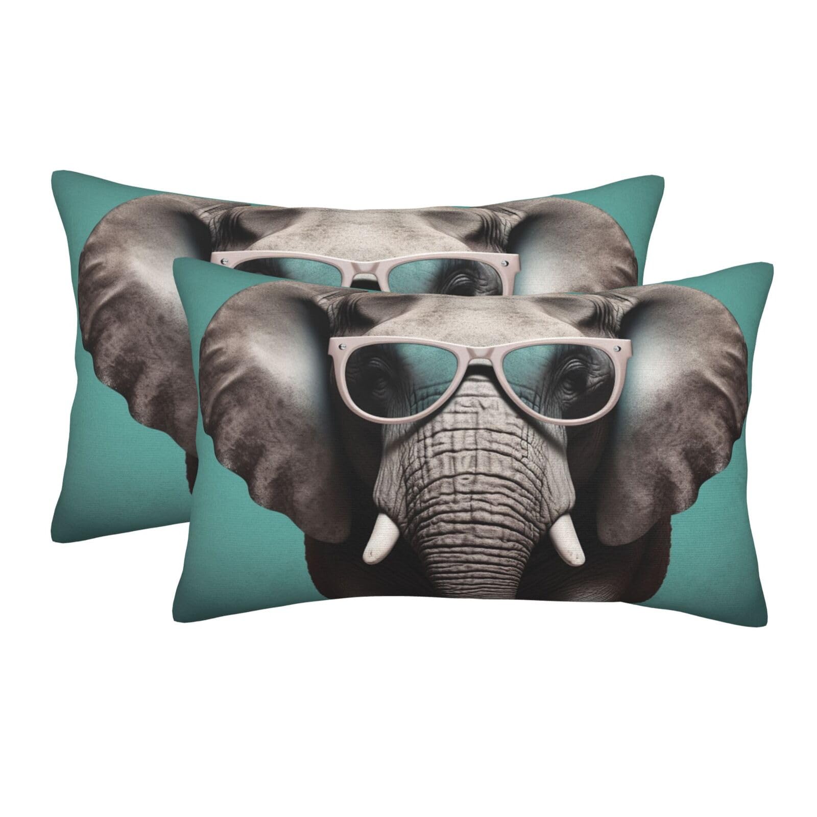 2 Pack Standard Size Pillow Cases for Hair and Skin Soft Breathable Pillow Case Covers with Hidden Zipper Elephant with Glasses Pillowcase 20"x30" Pillow Cover for Sleeping Gift
