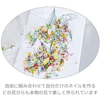 Amazon.co.jp: AAGWW ドライフラワー ネイルパーツ 押し花 天然