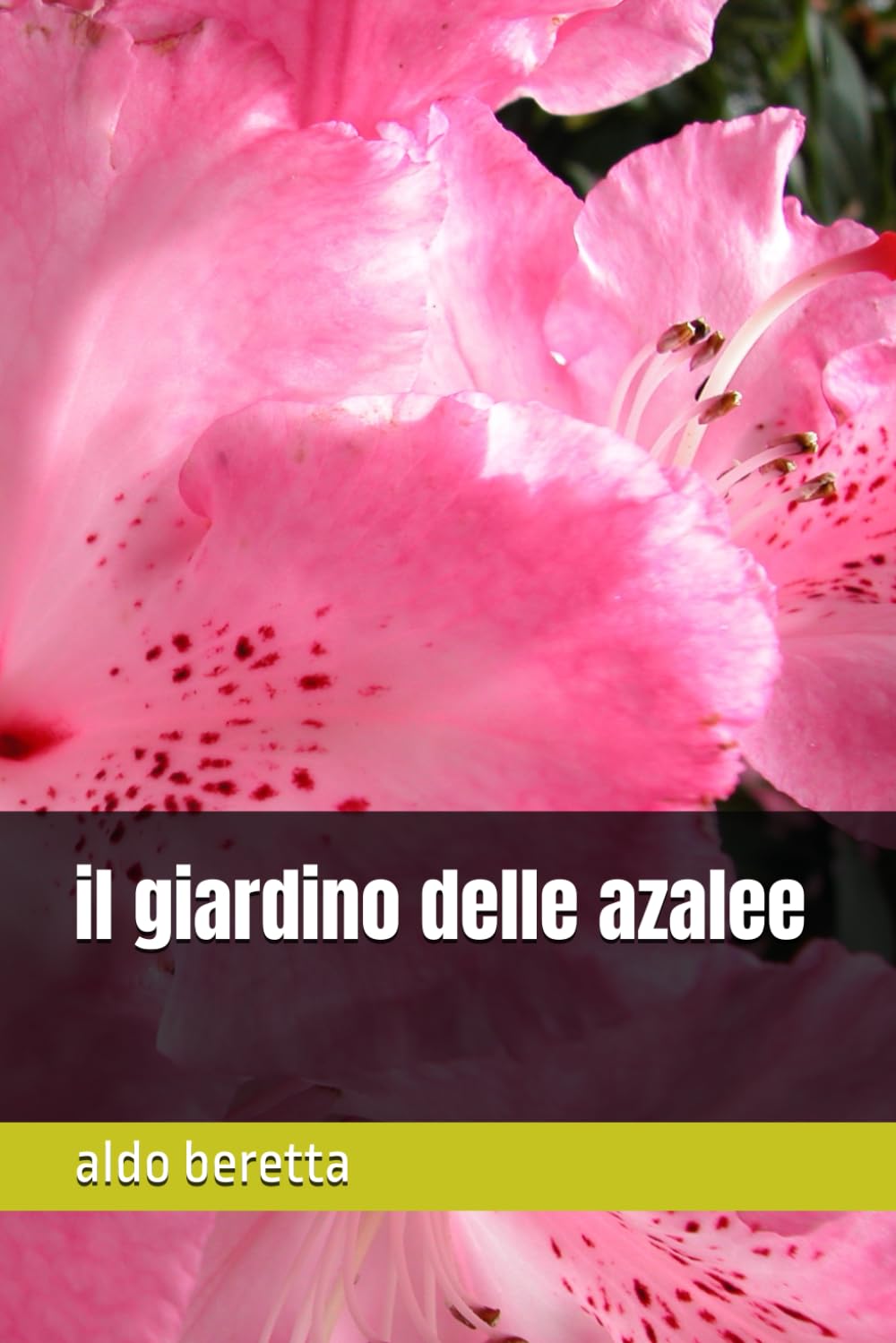 il giardino delle azalee