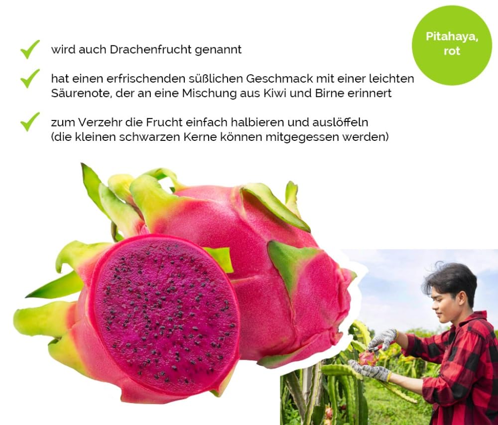 Hansen Obst Geschenkbox "Exotisches Paradies" mit Geschenkverpackung "Die Aquamarine" - Geschenk mit frischem Obst - Obstbox - exotische Früchte