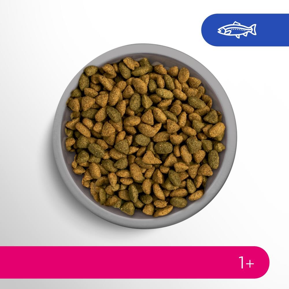 PERFECT FIT Adulte 1+ Croquettes pour chat adulte – Répond à des besoins spécifiques d'un chat stérilisé – Nourriture Riche en Saumon – 1,4 kg (Lot de 5)