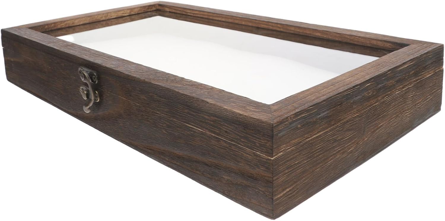 Zerodeko Specimen Display Case Wooden Insect Showcase Box with Clear Lid Decorative Butterfly Shadow Box for Museums Schools and Home Organization Simple to Use and Attractive Design