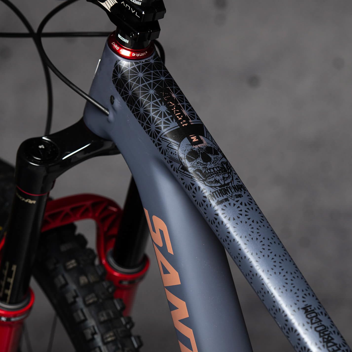 DYEDBRO - Protector de marco MTB - Anthony Napo MTB (mate/negro)