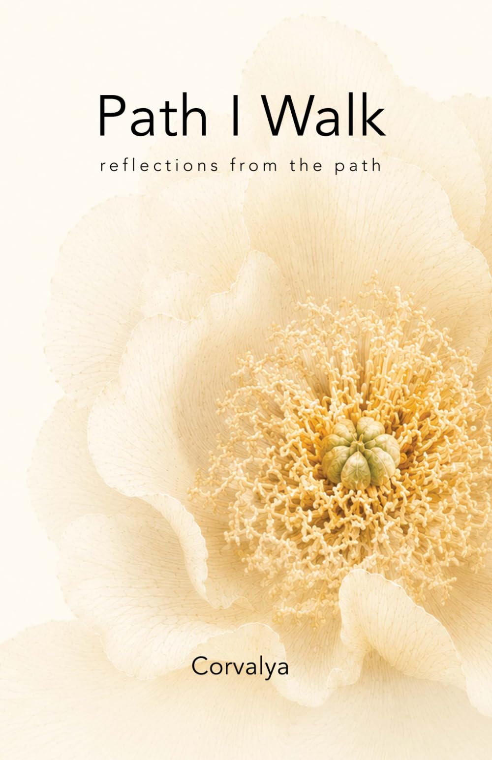 Path I Walk: reflections from the path