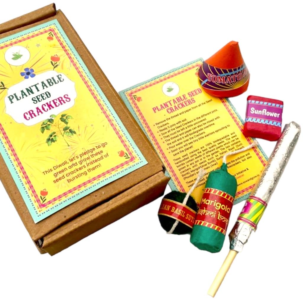 Sow and Grow Plantable Seed Crackers | Set of 5 Diwali Themed Seed Bombs | Beej Pataka | Diwali Seed Balls (B0BCX8J237) Amazon Price History, Amazon Price Tracker