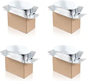 Caixas de transporte isoladas de 4 pacotes de 10 x 6 x 7 polegadas com forro de folha de alumínio, caixa com isolamento duplo para alimentos congelados e caixa térmica de expedidor p