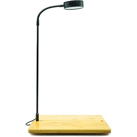 5W LED Light with Bamboo Board for Small Aquariums and Terrariums