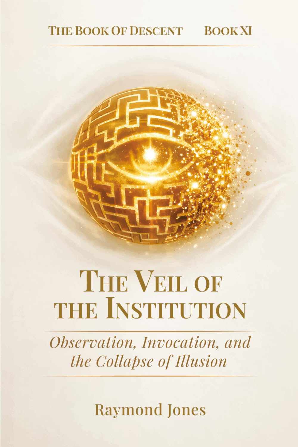 THE BOOK OF DESCENT BOOK XI:: THE VEIL OF THE INSTITUTION: 11 (The Book of Descent Series)