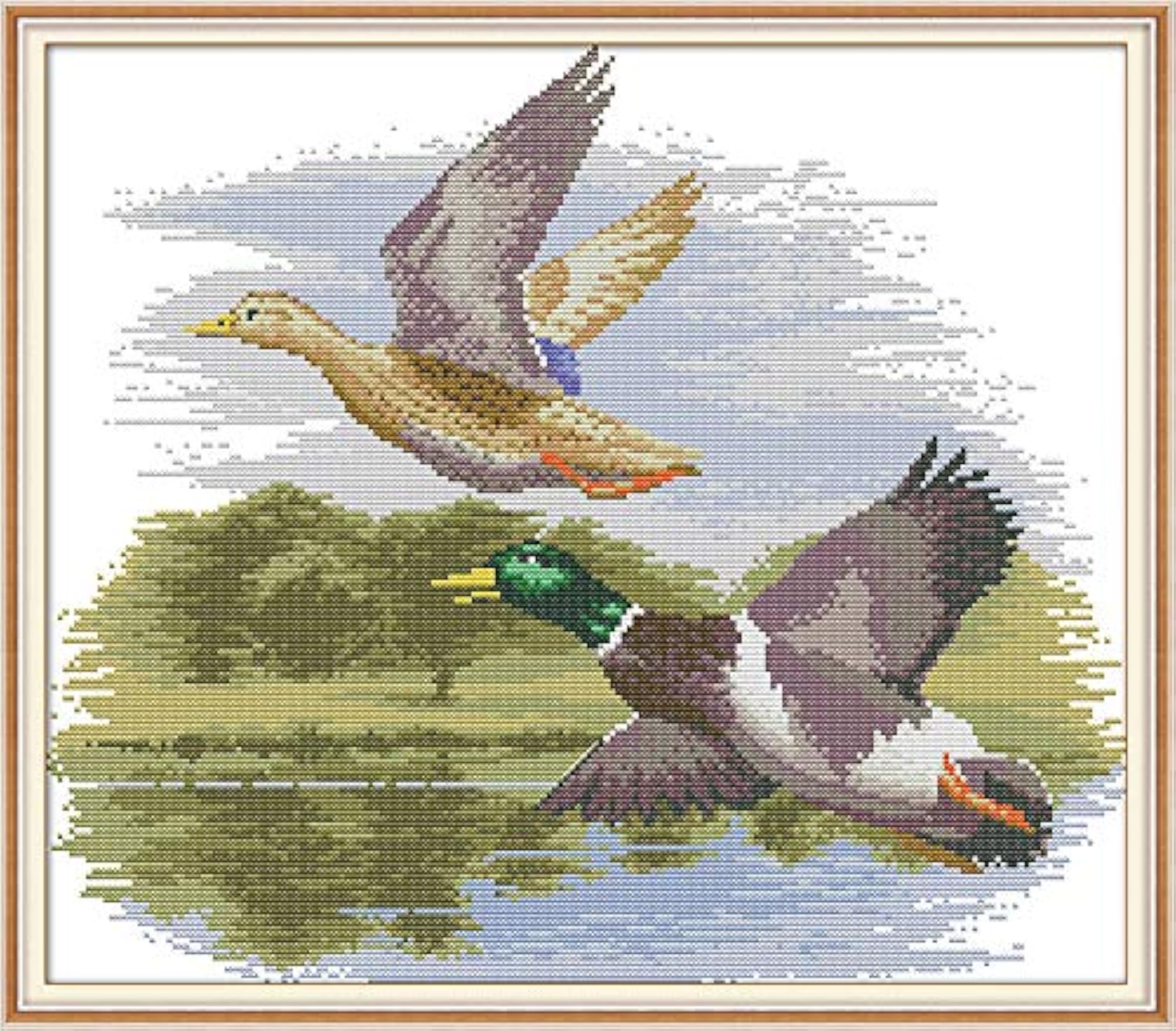 Fly Side by Side 54×47cm Cross Stitch Stamped Kit for Beginners