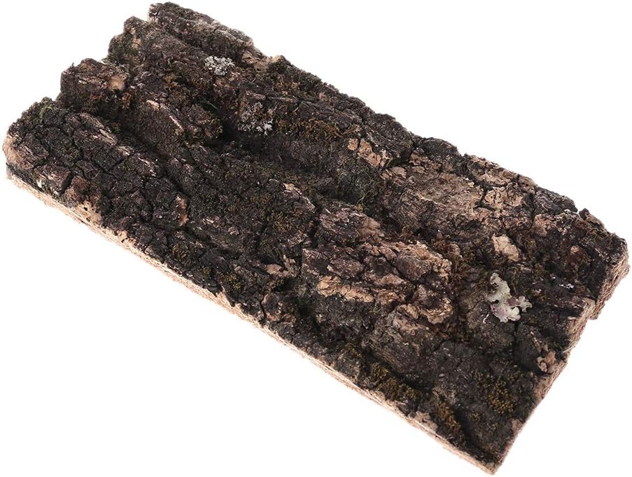 nascondigli habitat per terrari