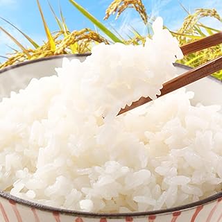 米 こめ 和歌山まんぷく米 10kg《30日以内に出荷予定(土日祝除く)》 和歌山県 岩出市 白米 国産米 ごはん お弁当 農家 未検査米 和歌山 産地直送 ブレンド米