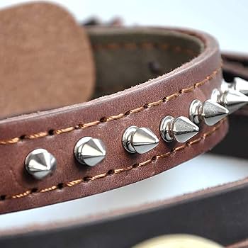 首輪 NIGHTSCAPE LED COLLAR（M-L） ナイトスケープ首輪 | MANDARINE