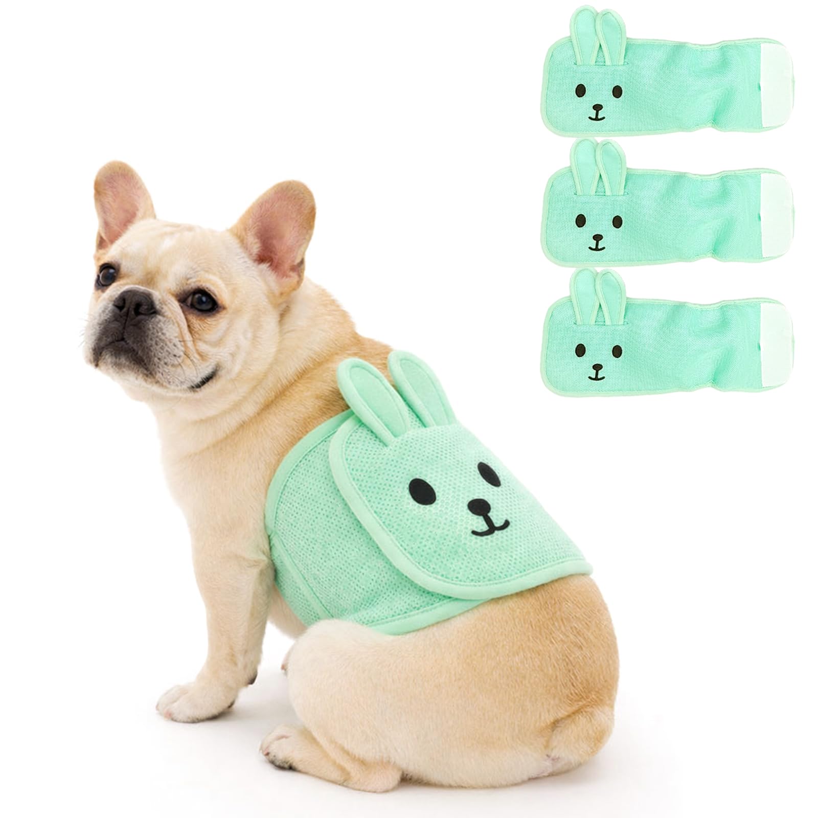 Colenumone 3 Pack Cute Belly Bands for Male Dogs with 3D Ears, Washable Reusable Dog Diaper, Breathable Mesh Wrap for Training & Incontinence, Adjustable Comfort Fit（green-S）