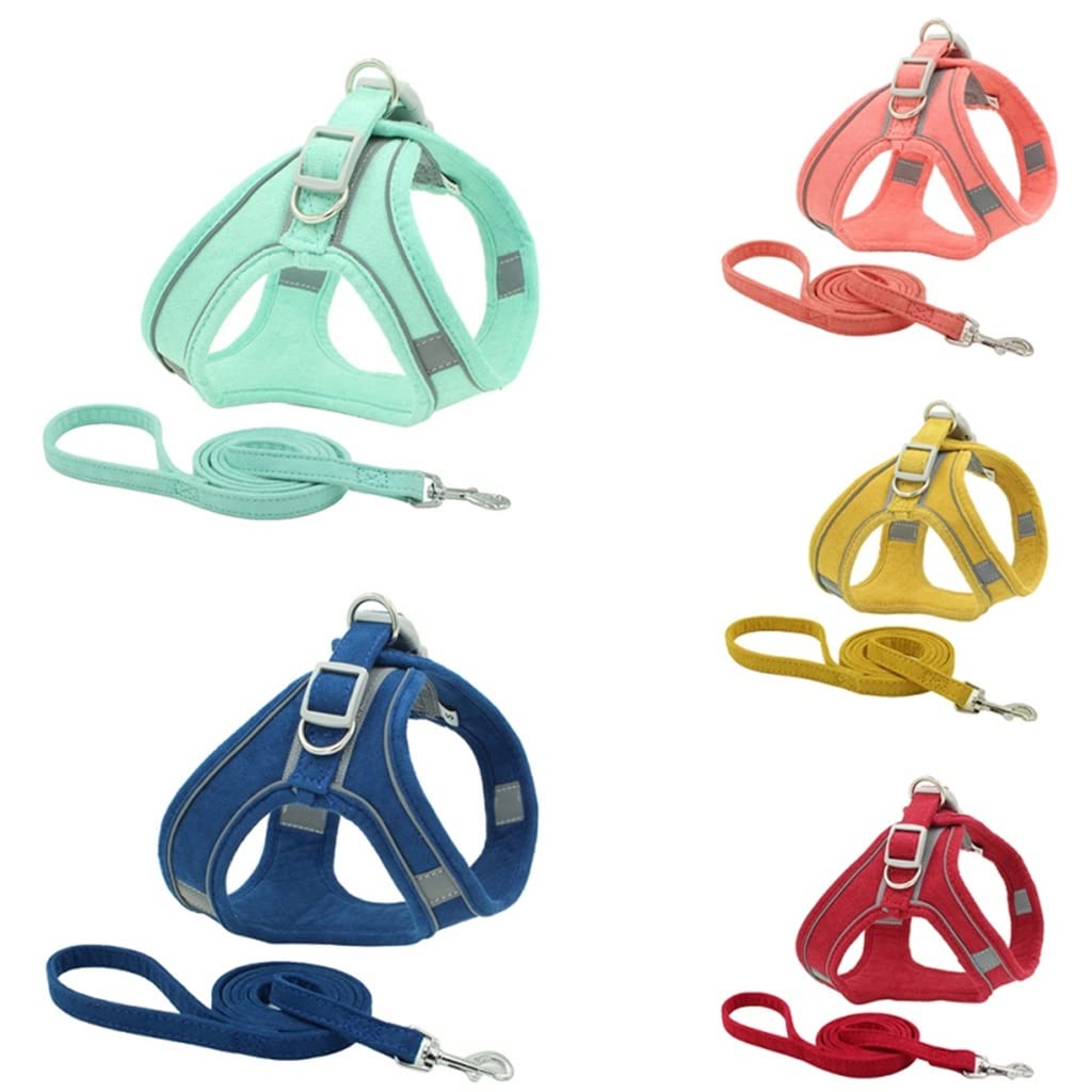 Pet Dog Chest Harness and Leash Set Breathable Adjustable Dog Harness Suitable for Small and Medium-Sized Puppies Vest (B L)